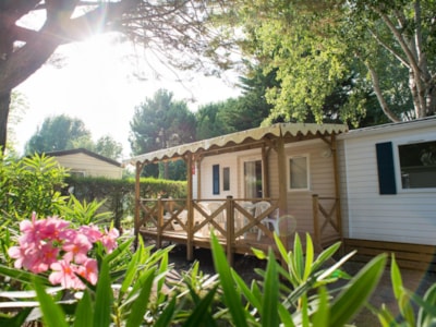 Cottage Family Plus Premium — 1