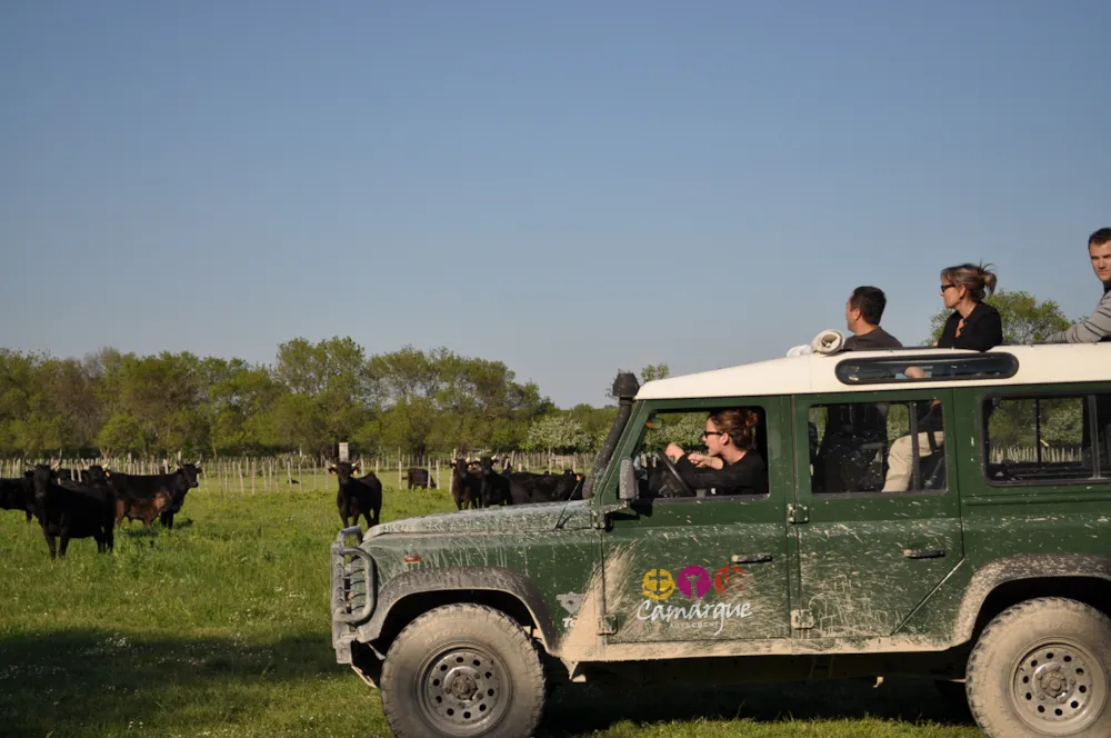 Camping Abri de Camargue