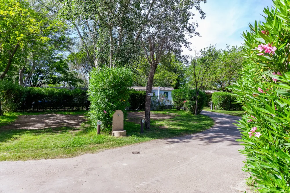 Stellplatz Zelt/Wohnwagen Oder Wohnmobil + Strom 10A