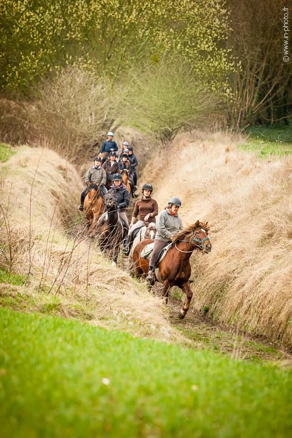 LieuDieu, Domaine de Campagne