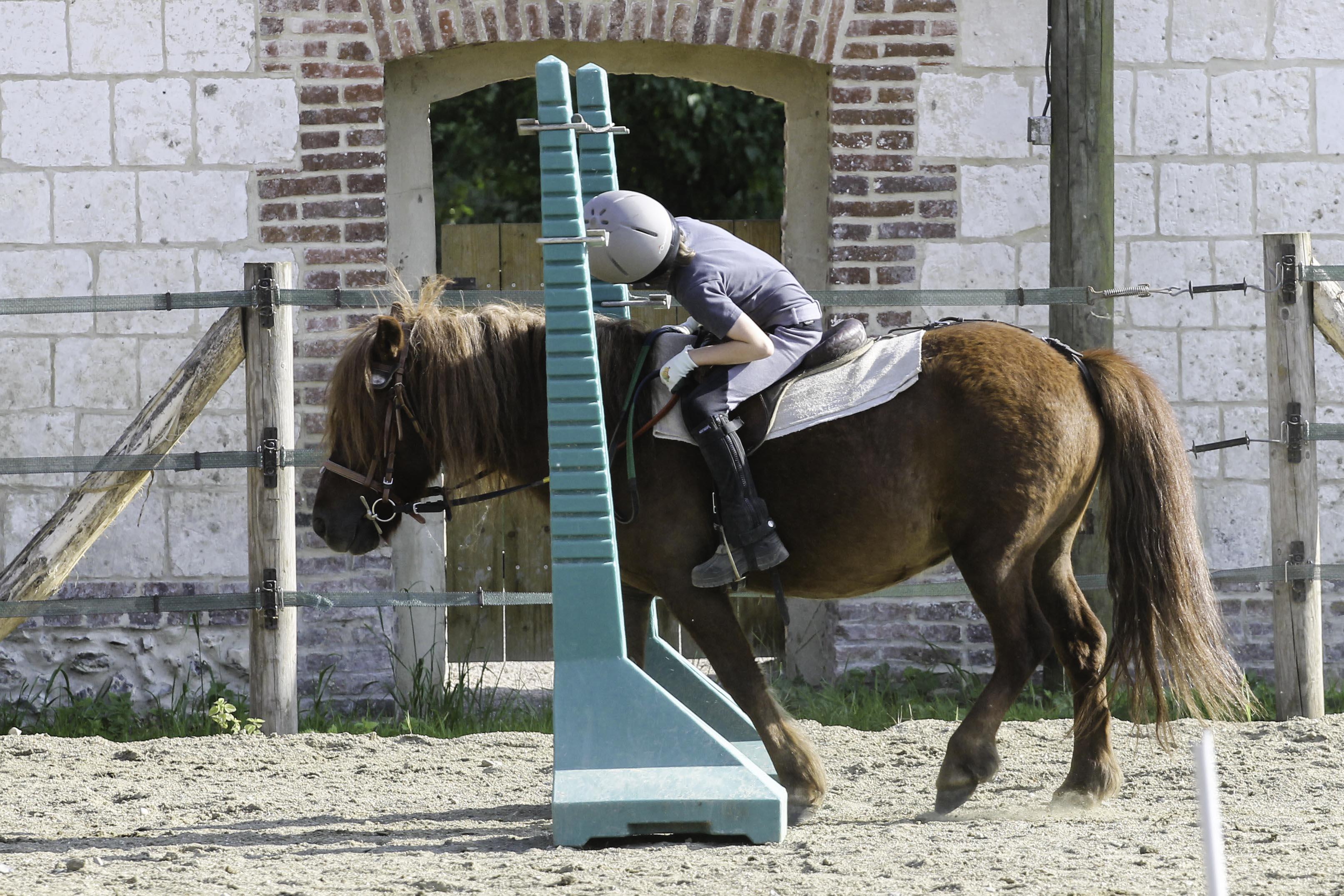 Séjour Poney 6-9Ans 7Jours/6Nuits Tous Niveaux Séjour Poney 6-9Ans 7Jours/6Nuits Tous Niveaux