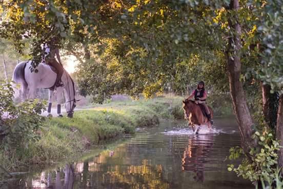 Séjour Équestre Technique 14-19Ans 7Jours/6Nuits À Partir Du Galop 4 Séjour Équestre Technique 14-19Ans 7Jours/6Nuits À Partir Du Galop 4