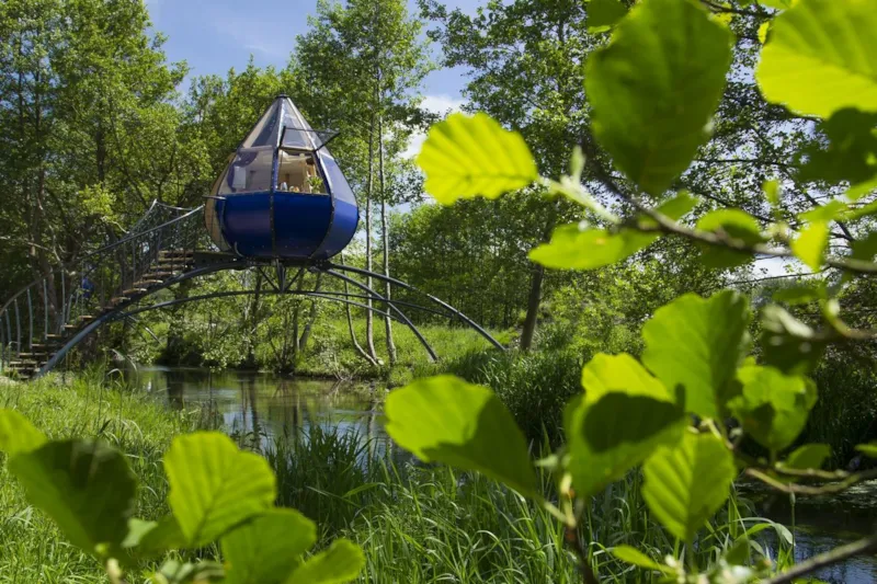 Nuit En Goutte D'ô Et Balade À Cheval