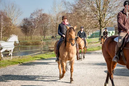 Pernottamento In Una Roulotte E Passeggiata A Cavallo