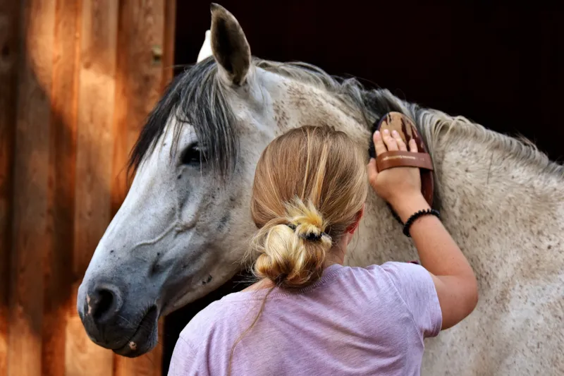 Nuit En Roulotte Et Balade À Cheval