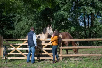 Mietunterkunft - Goutte D'ô  +  Reiten - LieuDieu, Domaine de Campagne