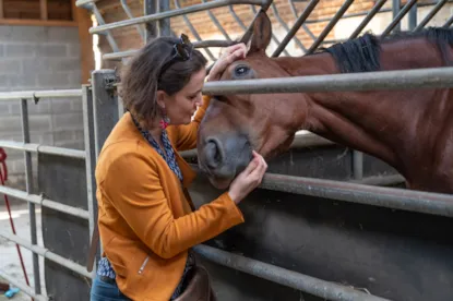 Vacanza Equestre E Pernottamento In Una Casa Sull'acqua - Tutti I Livelli Da 6 A 99 Anni!