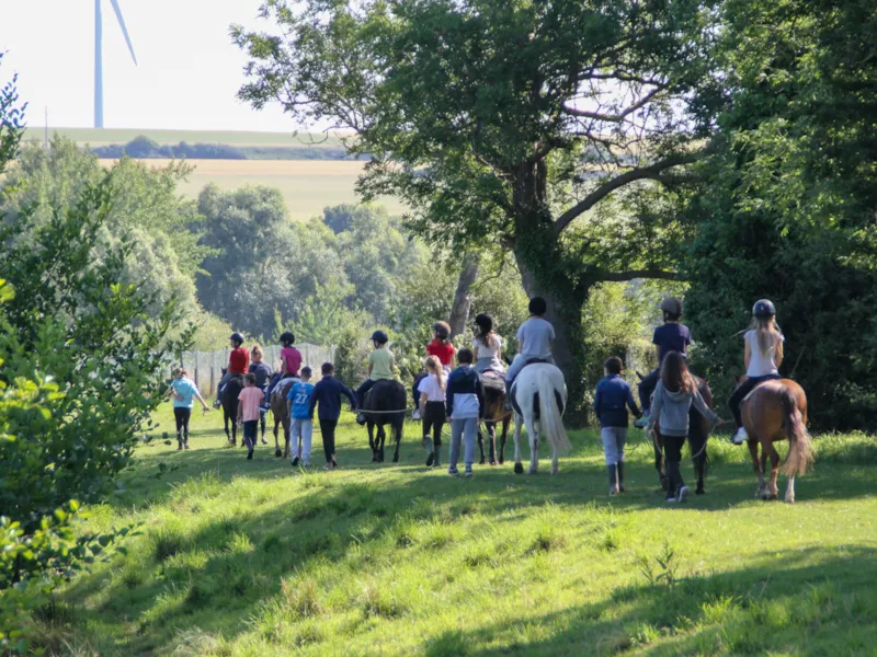 Stage Poney (6-9 Ans) - Semaine Complète - Débutant Au Galop 2 -