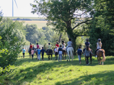Pony course (6-9 yrs) - Full week - Beginner to Galop 2 -