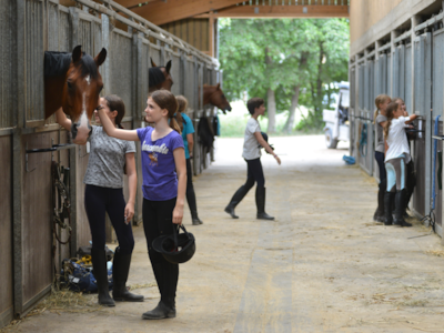 Stage Equestre Passion (10-19 yrs) - Full Week - Beginner to Galop 4 -