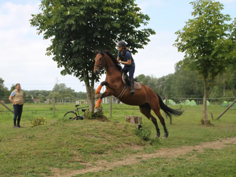 Stage Équestre Technique (12-19 Ans) - Semaine Complète - Galop 4+