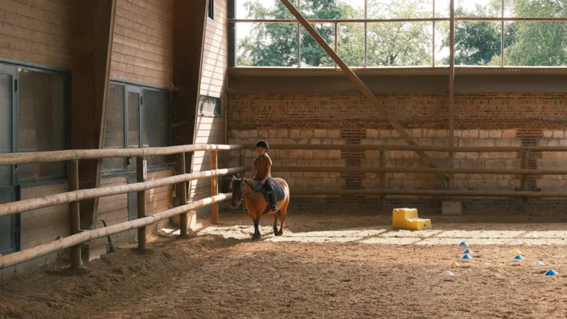 Stage Poney (6-9 Ans) - Semaine Complète - Débutant Au Galop 2 -