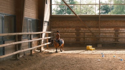 Pony course (6-9 yrs) - Full week - Beginner to Galop 2 -