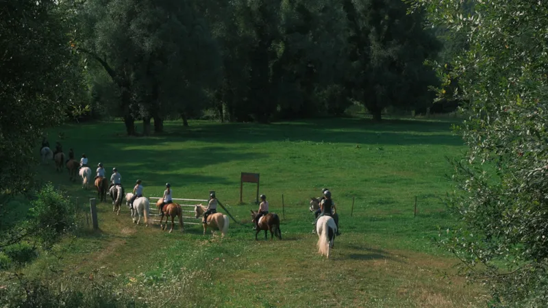 Stage Équestre Passion (10-19 Ans) - Semaine Complète - Débutant Au Galop 4 -