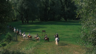 Stage Equestre Passion (10-19 yrs) - Full Week - Beginner to Galop 4 -
