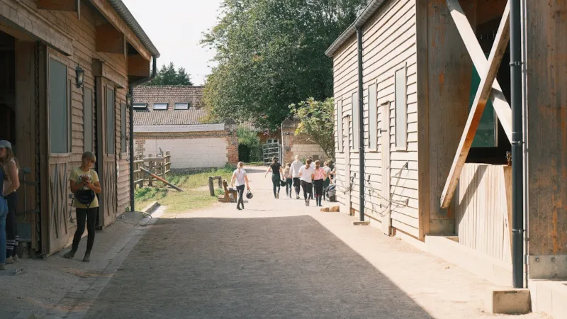 Stage Équestre Passion (10-19 Ans) - Semaine Complète - Débutant Au Galop 4 -