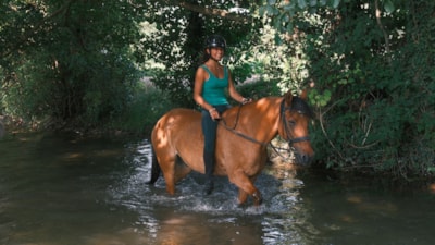 Stage Equestre Passion (10-19 yrs) - Full Week - Beginner to Galop 4 -