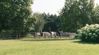 Equestrian Stay (12-19 years) - Full Week - Gallop 4+