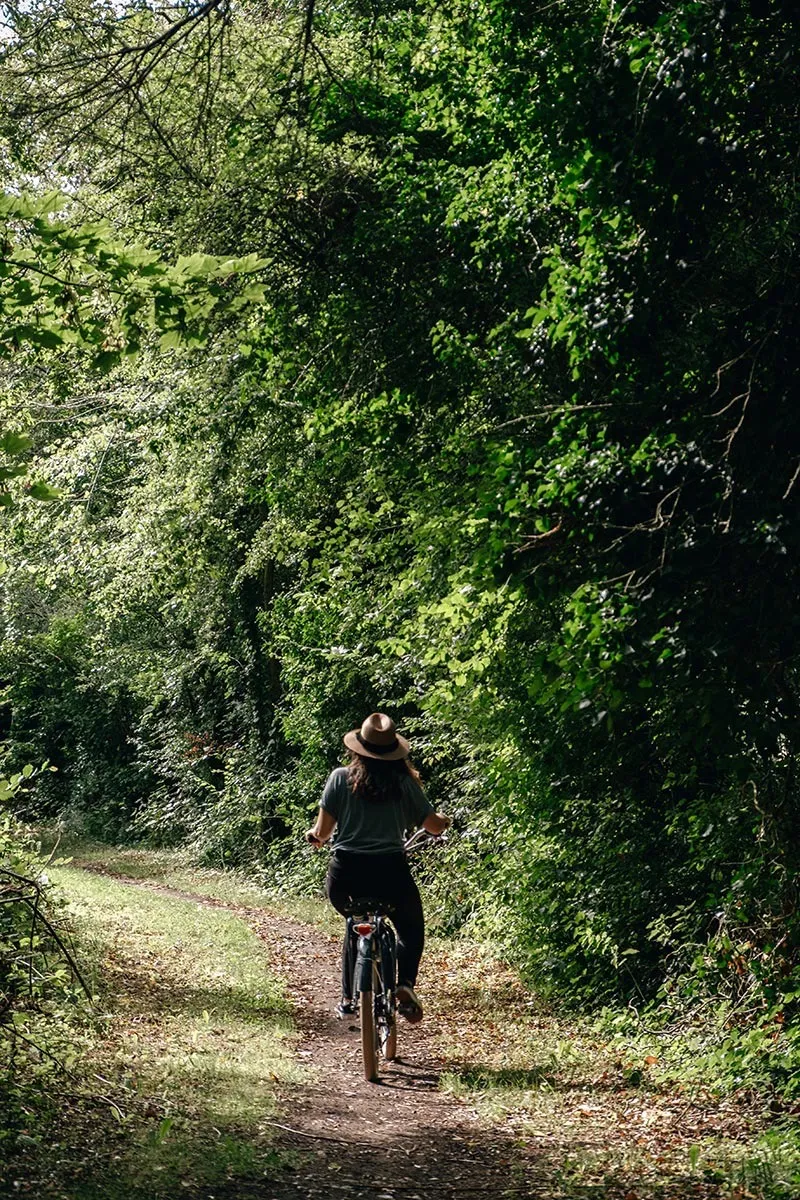 Stage Equitation Adulte - Equitation De Travail Et Mountain Trail 3Jours/2Nuits