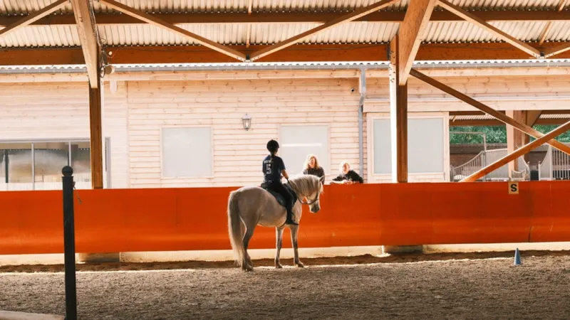 Stage Equitation Adulte - Equitation De Travail Et Mountain Trail 3Jours/2Nuits