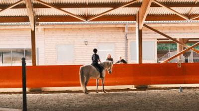 Adult Riding Course - Working Equitation and Mountain Trail 3days/2nights