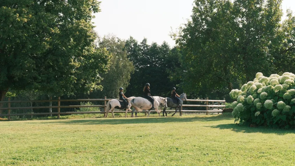 Location - Nuit En Goutte D'ô Et Balade À Cheval - LieuDieu, Domaine de Campagne