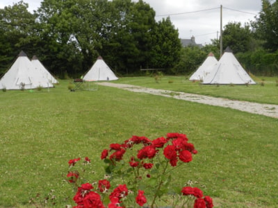 Pitch + tent + bike package — 3