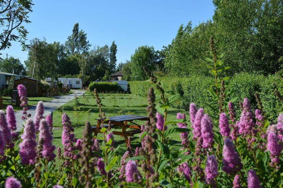 Camping LA PETITE FORET — Photo 1