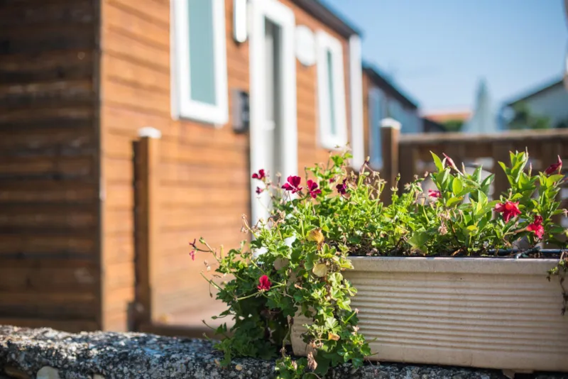 Mobil Home 1 Chambre