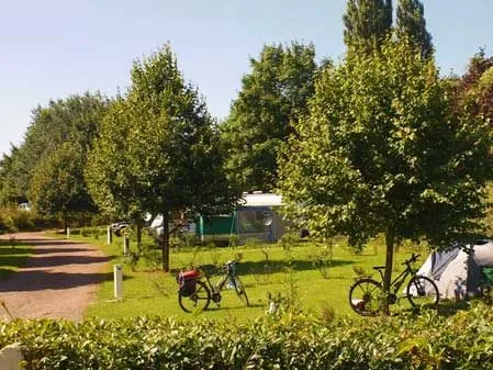 Emplacement - Emplacement Tente Spécial Randonneur Et Vélocycliste Avec Électricité - - Camping du Vélodrome Albert