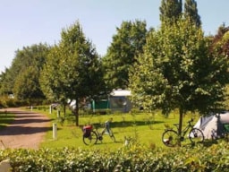 Kampeerplaats(en) - Standplaats Pakketprijs Wandelaar Per Voet Of Per Fiets Met Tent +  Elektriciteit - - Camping du Vélodrome Albert