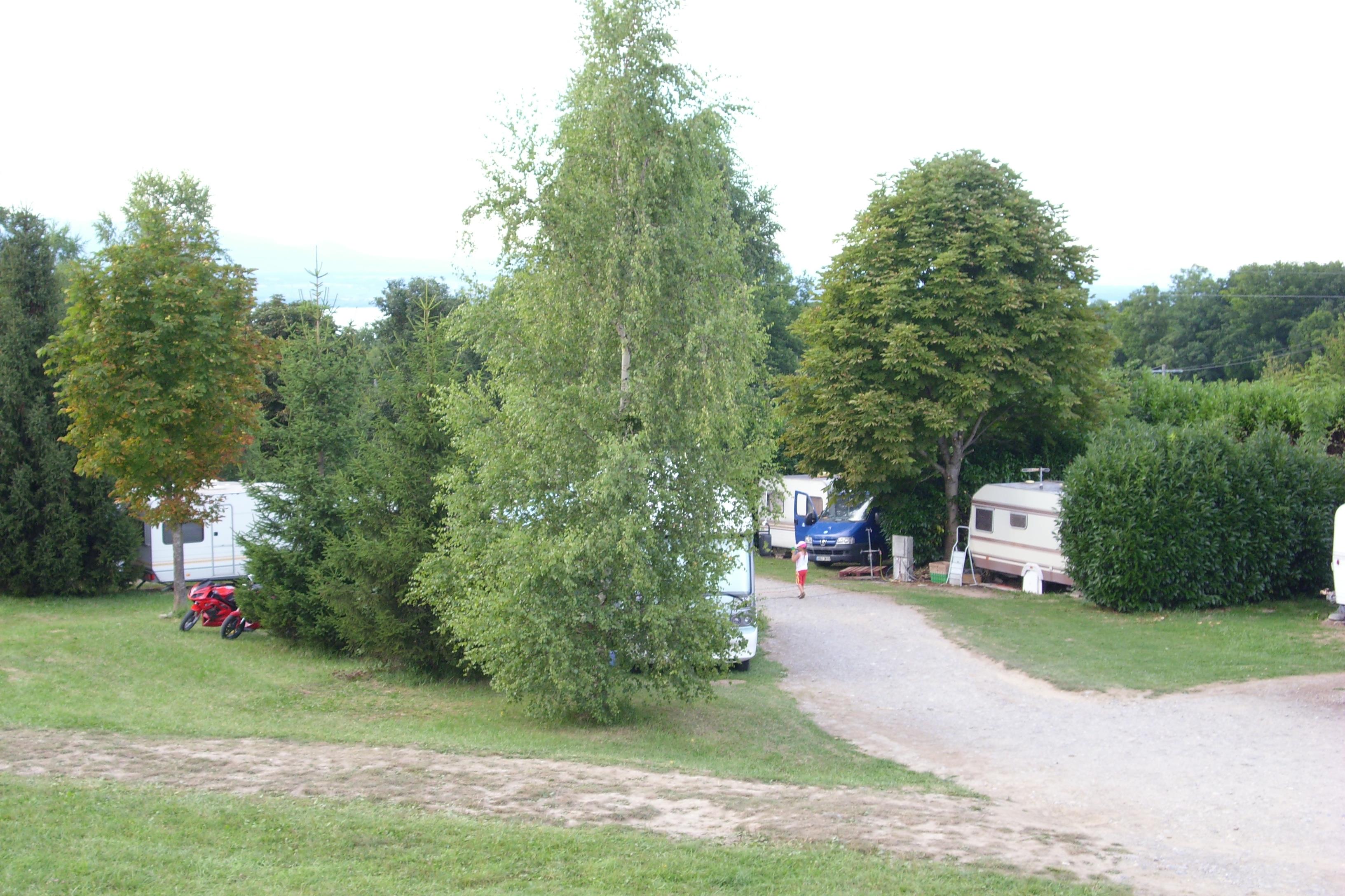 Bedrijf Camping L'orée Des Bois - Sciez