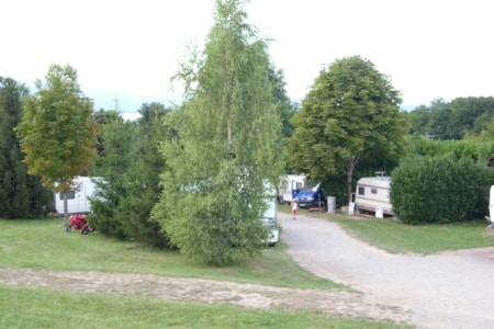 Camping l’Orée des Bois