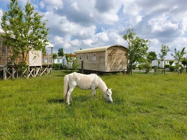 Camping La Dive