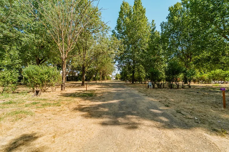 Forfait Emplacement  2P+ 1Véhicule + Electricité