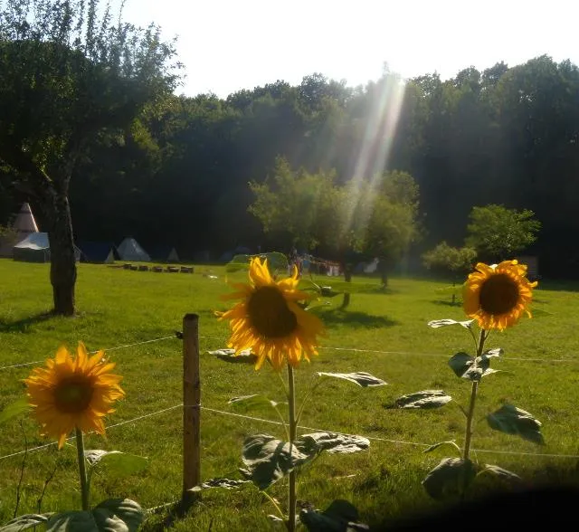 Emplacements Nu Et Emplacements Caravanes Pour Un Camping Vraiment Nature !!!