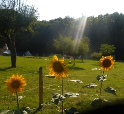 Bare pitches and caravan pitches for a really camping nature !!! Friendliness , comfort and calm in very Nature camping — 5