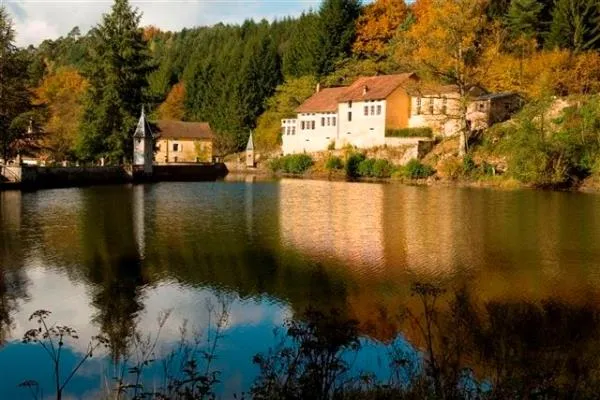 Camping LA CLAIRIERE DU VERBAMONT