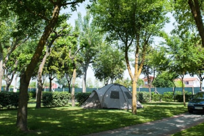 Pitch LUCE PLUS & PARK Tent+ car — 4
