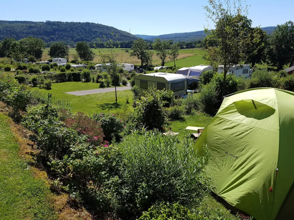 Emplacement - Emplacement - Camping Les 12 Cols