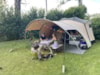 Camping Qualité