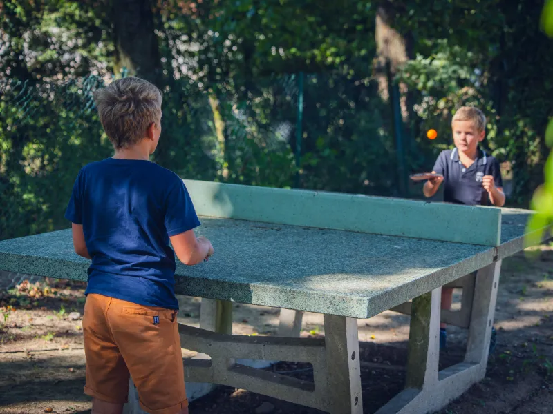 Camping Oasis des Dombes - image n°22 - Ain