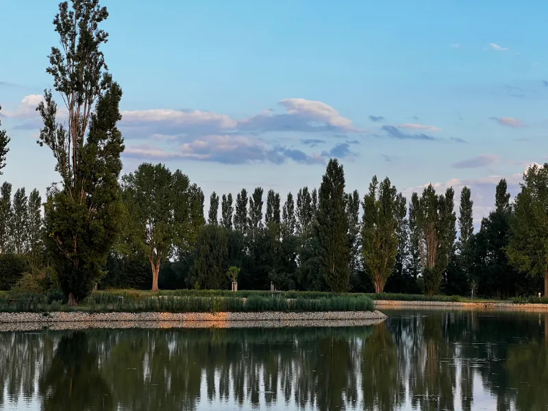 Camping Oasis des Dombes - image n°7 - Ain
