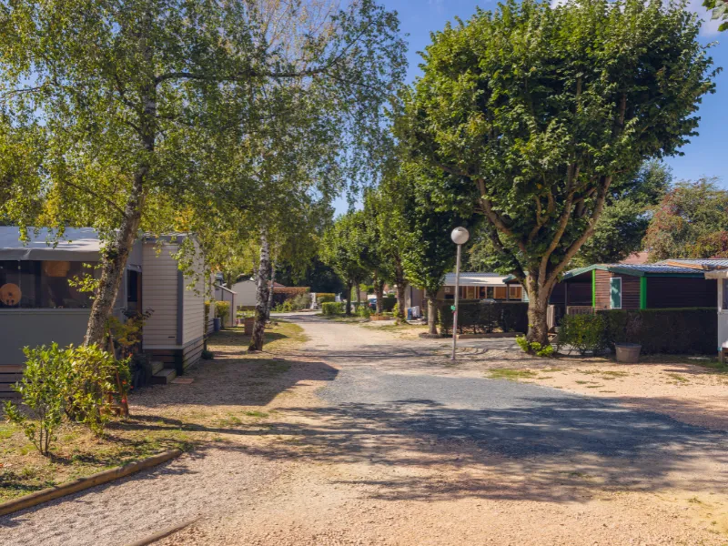 Camping Oasis des Dombes - image n°10 - Ain