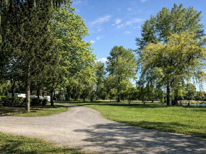 Camping Oasis des Dombes - image n°9 - Ain