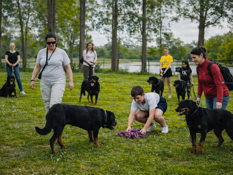 Camping Oasis des Dombes - image n°24 - Ain