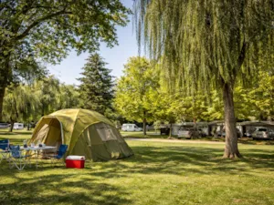 Emplacement - Tent or caravan pitch - Camping Oasis des Dombes