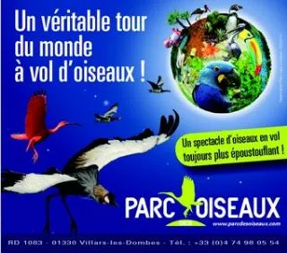 Camping Claire Rivière - image n°21 - Ain