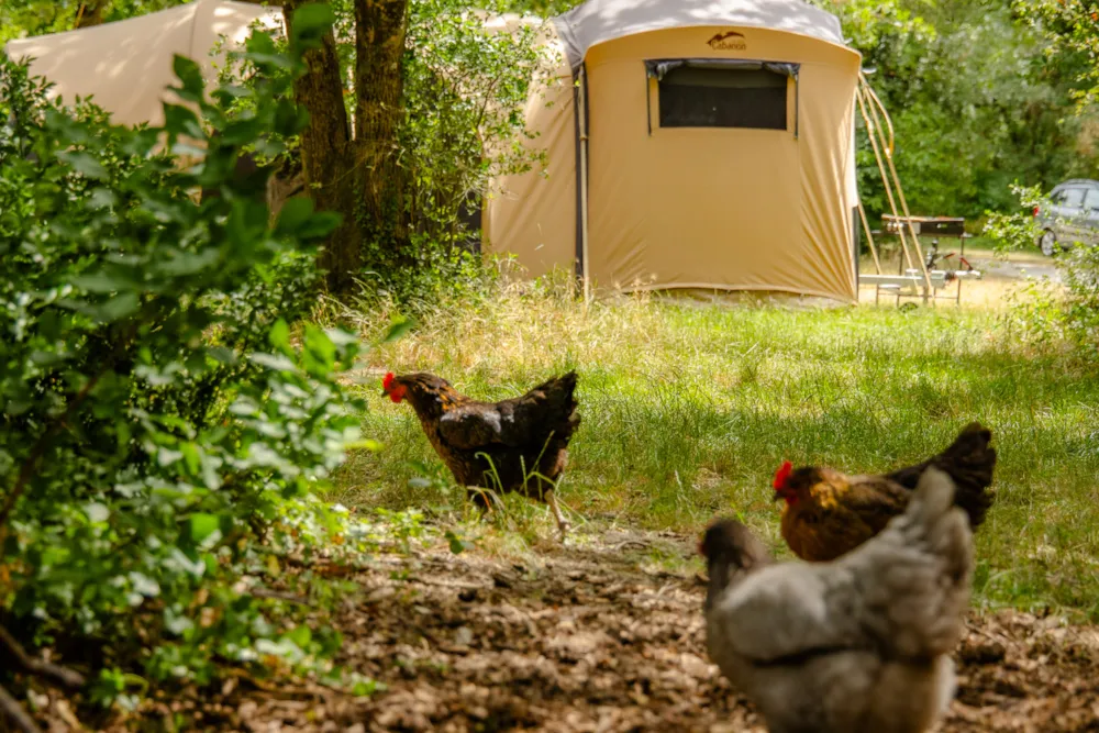 Camping la Graville - image n°5 - Drome