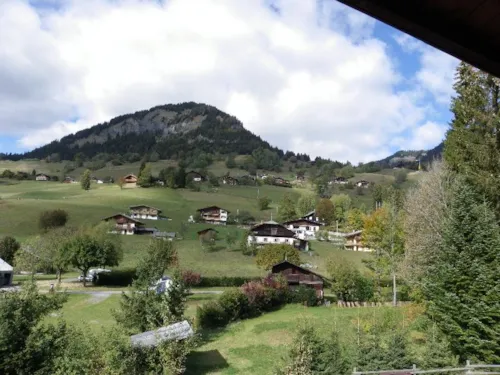 Mietunterkunft - Jonquilles 3* - image n°7 - Camping Chantalouette